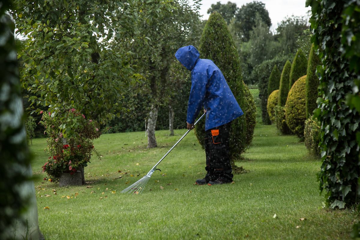 Ramasser les feuilles sans se bloquer le dos : les bons gestes au jardin cet automne